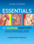 Essentials of Human Anatomy and Phsiology