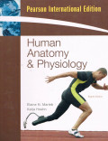 Human Anatomy & Phsiology