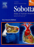 Sobotta Atlas of Human Anatomy