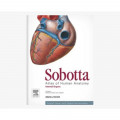 Sobotta Atlas of Human : Internal Organs