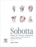 Sobotta Atlas of Human Anatomy  : Tables of Muscles, Joints, and Nerves