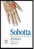 Sobotta Atlas of Human Anatomy head,neck,and,neuroanatomy