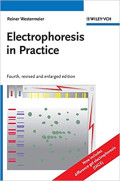 Electrophoresis in Practice