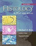 Histology A Text and Atlas With Cell and Molecular Biology
