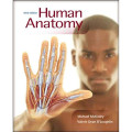 Human Anatomy