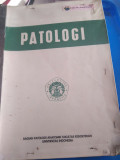 Patologi