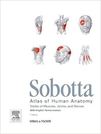 Sobotta Atlas of Human Anatomy  : Tables of Muscles, Joints, and Nerves
